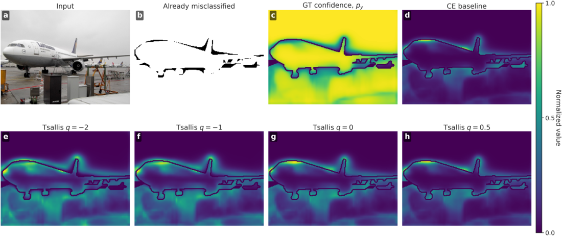 Comparison of CE and Tsallis cross-entropy input-gradient maps for semantic segmentation